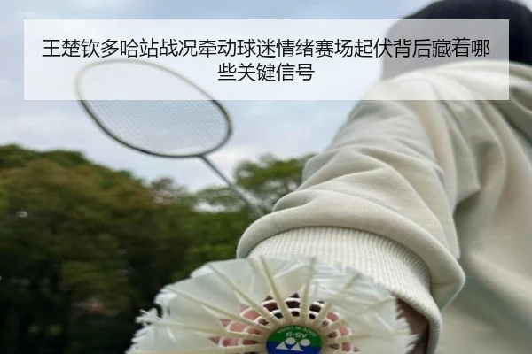 王楚钦多哈站战况牵动球迷情绪赛场起伏背后藏着哪些关键信号